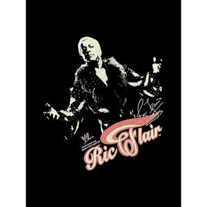 90's Vintage Ric Flair WWF shirt Sz Medium Steve And Barry's Distressed Rare